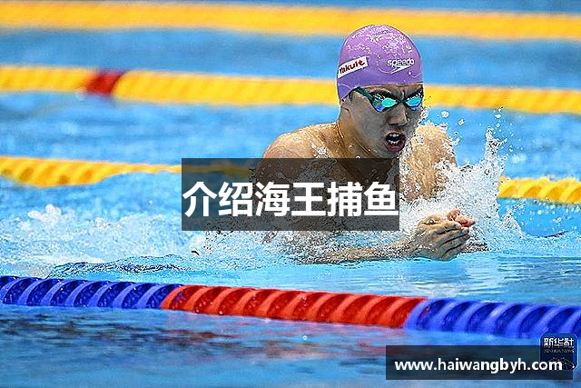 介绍海王捕鱼